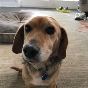 Meet your Posher, Mason